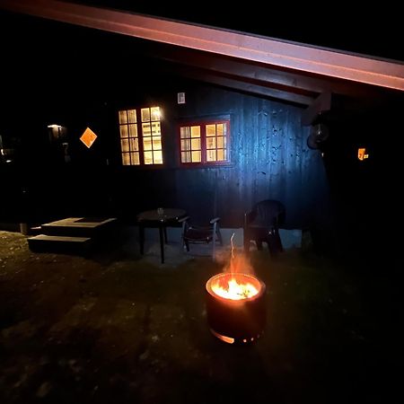 Vennebo - Koselig Liten Hytte Med Alle Fasiliteter Ål Buitenkant foto