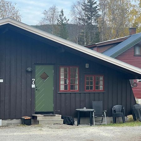 Vennebo - Koselig Liten Hytte Med Alle Fasiliteter Ål Buitenkant foto