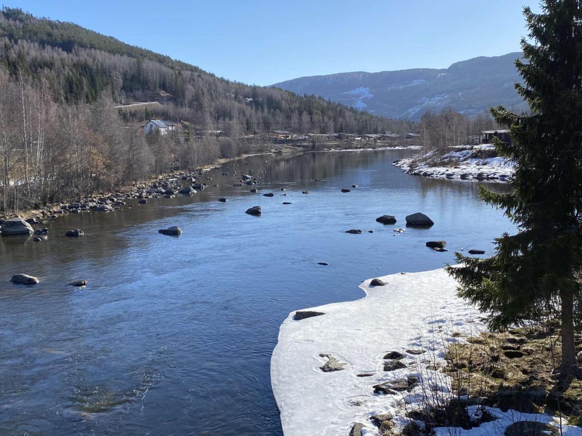 Vennebo - Koselig Liten Hytte Med Alle Fasiliteter Ål Buitenkant foto