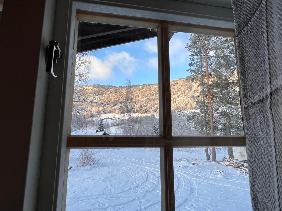 Vennebo - Koselig Liten Hytte Med Alle Fasiliteter Ål Buitenkant foto